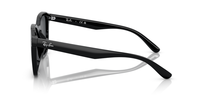 Ray-Ban RB4392D in Black - Alternate View