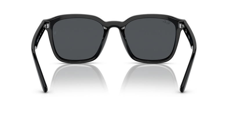 Ray-Ban RB4392D in Black - Alternate View