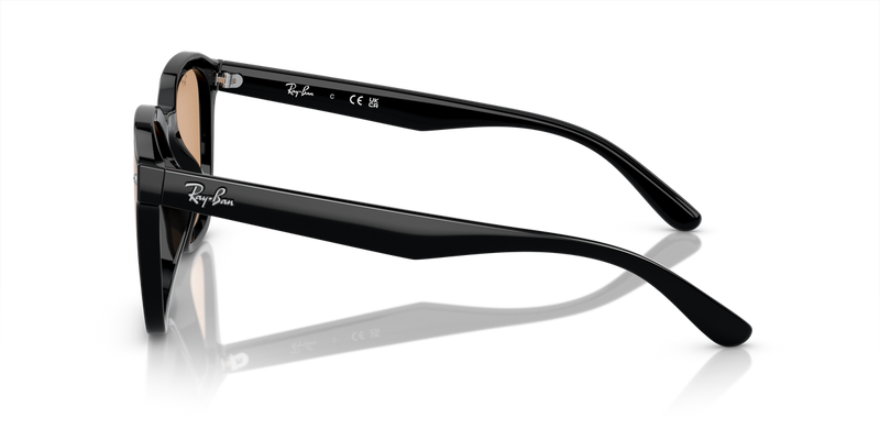 Ray-Ban RB4392D in Black - Alternate View