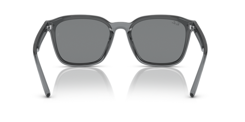 Ray-Ban RB4392D in Transparent Grey - Alternate View
