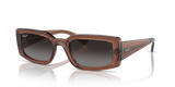 Transparent Brown / Grey Polarized (6678T3)