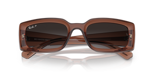 Transparent Brown / Grey Polarized (6678T3)