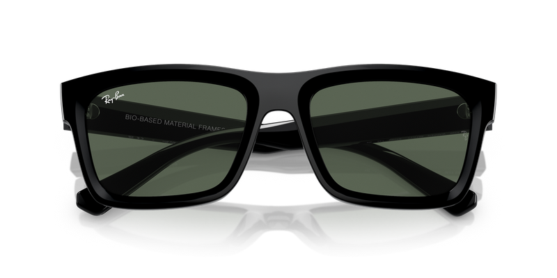Ray-Ban WARREN in Black / Dark Green (667771) - Alternate View