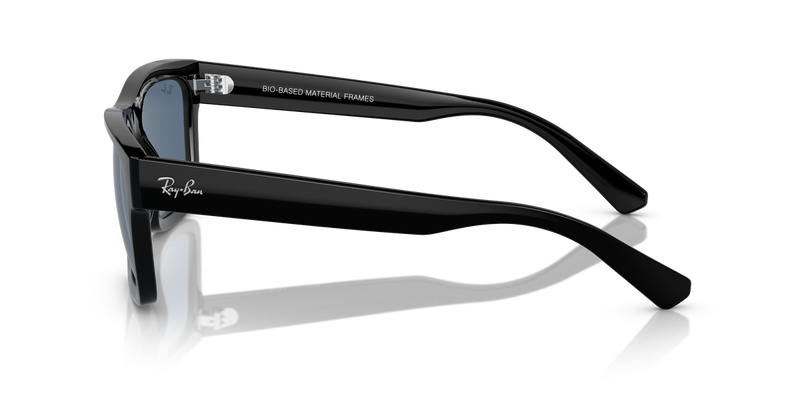 Ray-Ban WARREN in Black / Dark Blue (667780) - Alternate View