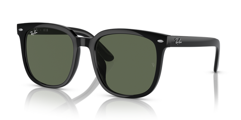 Ray-Ban RB4401D in Black - Alternate View