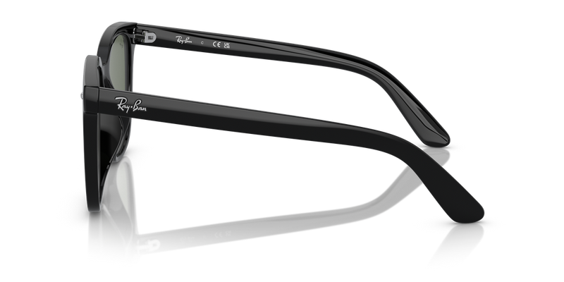 Ray-Ban RB4401D in Black - Alternate View