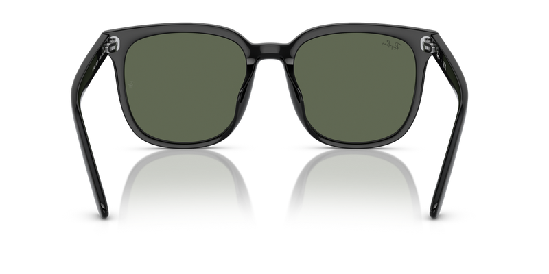 Ray-Ban RB4401D in Black - Alternate View