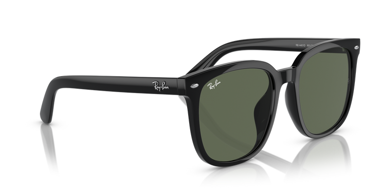 Ray-Ban RB4401D in Black - Alternate View