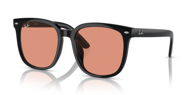 Ray-Ban RB4401D in Black - Alternate View