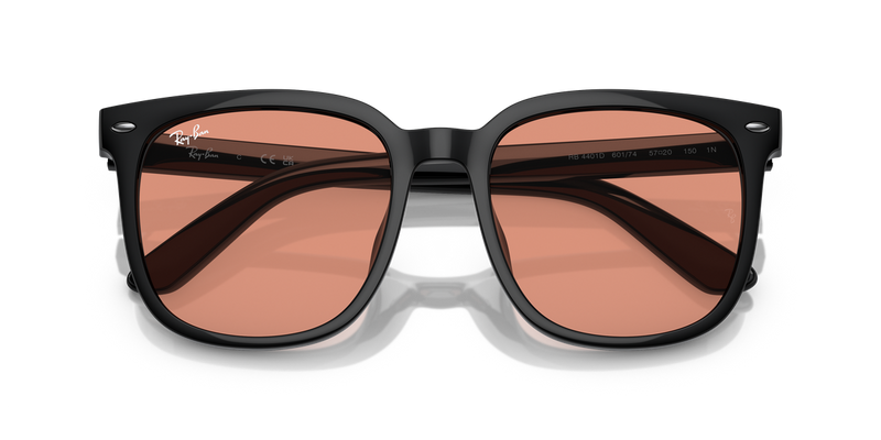 Ray-Ban RB4401D in Black - Alternate View