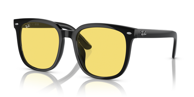 Ray-Ban RB4401D in Black - Alternate View