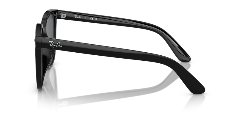 Ray-Ban RB4401D in Black - Alternate View