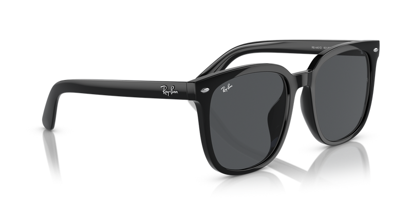 Ray-Ban RB4401D in Black - Alternate View