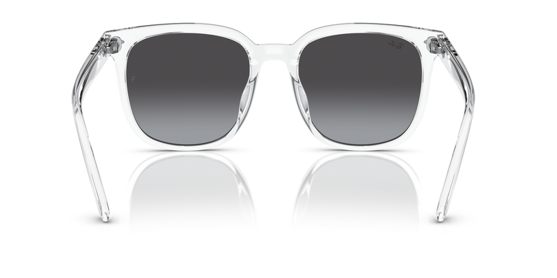 Ray-Ban RB4401D in Transparent - Alternate View