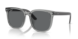 Transparent Grey / Dark Grey Polarized (659981)
