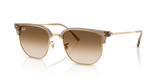 Transparent Brown On Arista / Clear Gradient Brown (691851)