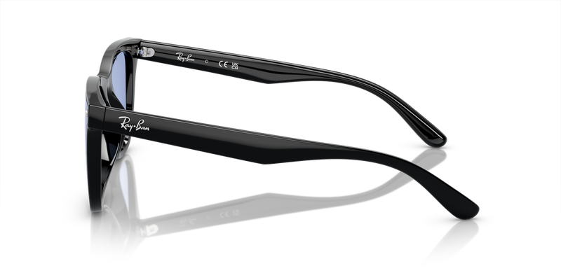Ray-Ban RB4420 in Black - Back View
