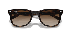 Havana / Brown (710/13)