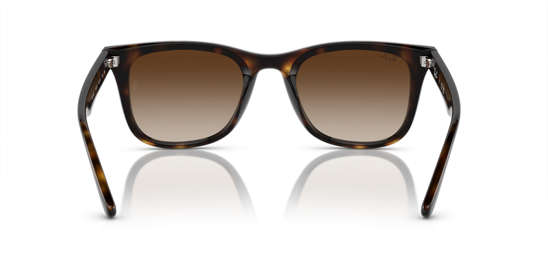 Ray-Ban RB4420 in Havana - Alternate View