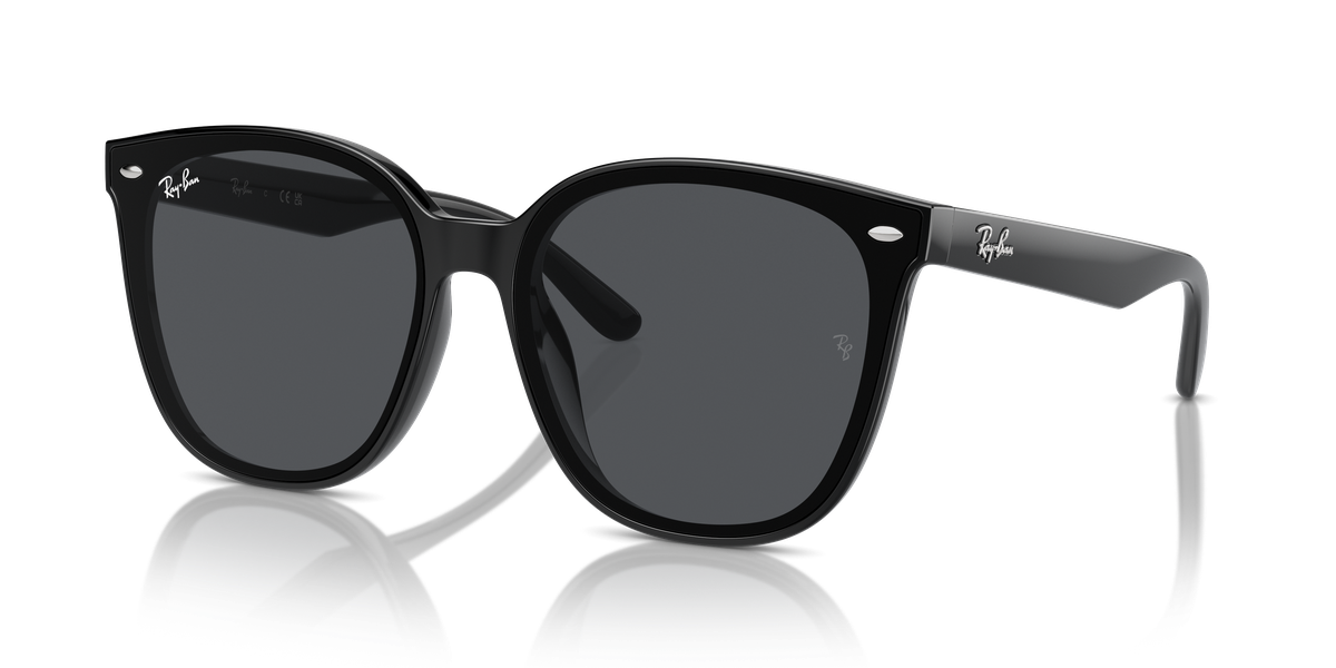 Ray-Ban RB4423D