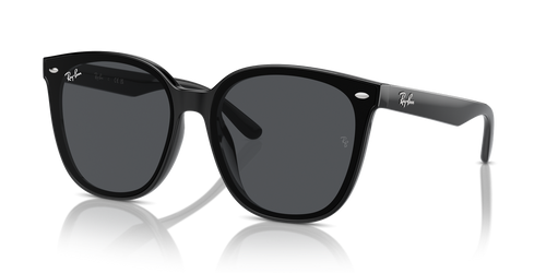 Ray-Ban RB4423D
