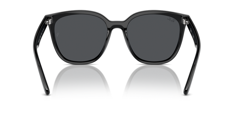 Ray-Ban RB4423D in Black - Temple Detail
