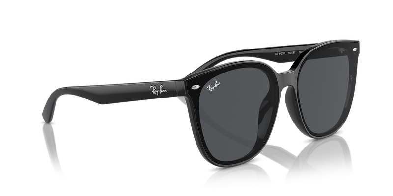 Ray-Ban RB4423D in Black - Alternate View