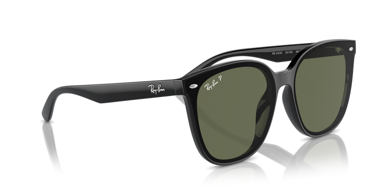 Ray-Ban RB4423D in Black - Alternate View