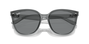 Transparent Grey / Dark Brown (645087)