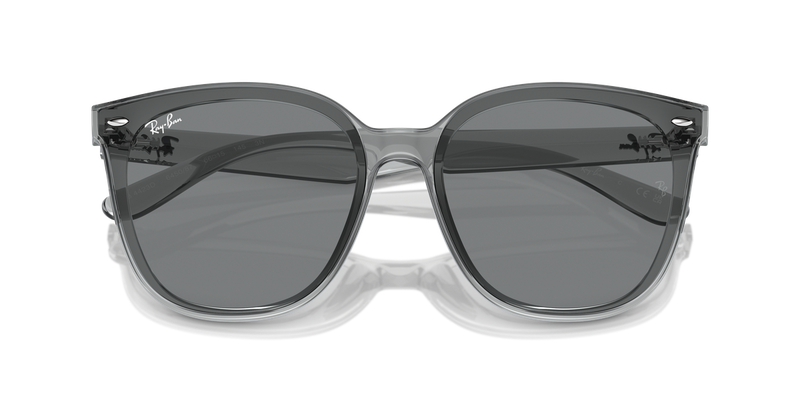 Ray-Ban RB4423D in Transparent Grey - Alternate View