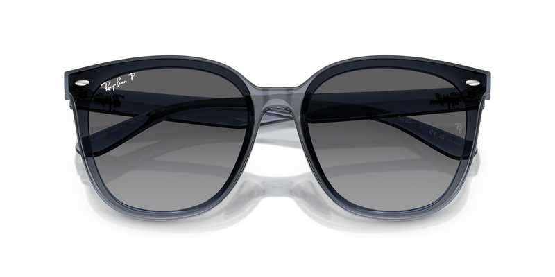 Ray-Ban RB4423D in Dark Transparent Blue - Alternate View