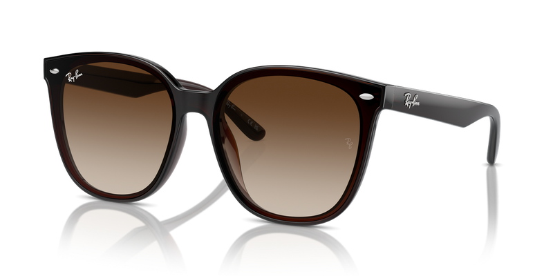 Ray-Ban RB4423D in Transparent Brown - Alternate View