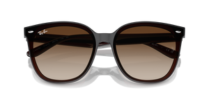 Transparent Brown / Brown (714/13)