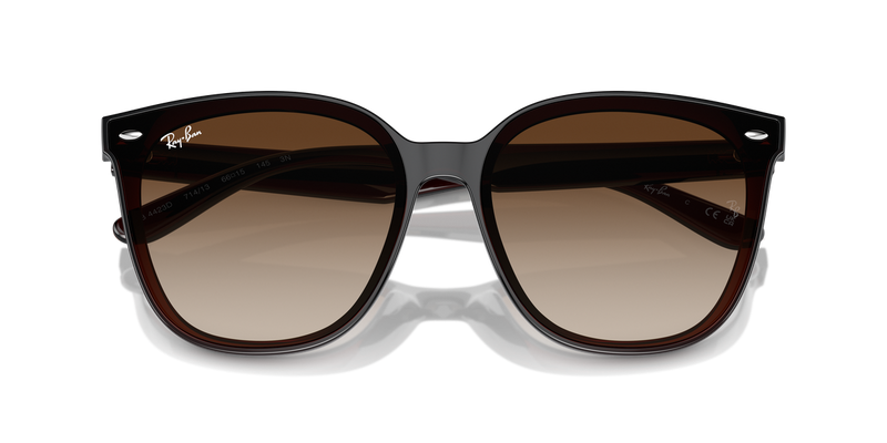 Ray-Ban RB4423D in Transparent Brown - Alternate View