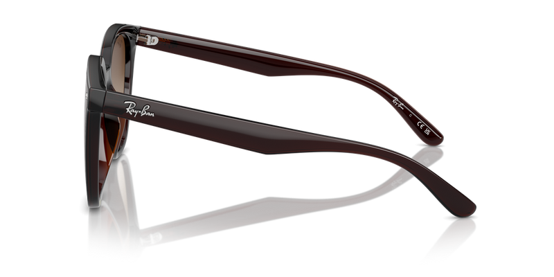 Ray-Ban RB4423D in Transparent Brown - Alternate View