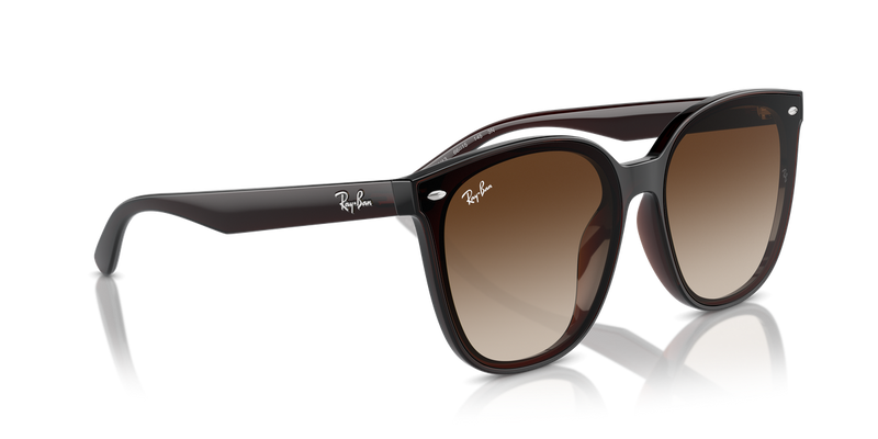 Ray-Ban RB4423D in Transparent Brown - Alternate View