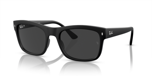 Black / Black Polarized (601S48)