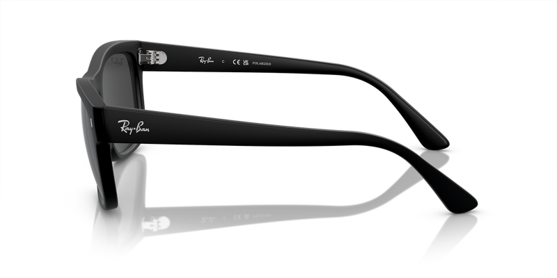 Ray-Ban RB4428F in Black - Back View