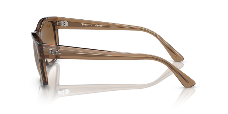Ray-Ban RB4428F in Transparent Light Brown - Alternate View