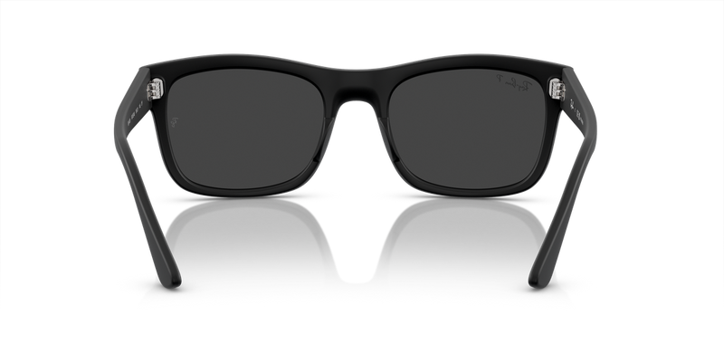 Ray-Ban RB4428 in Black - Alternate View