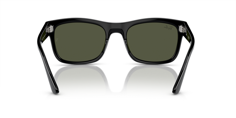 Ray-Ban RB4428 in Black - Temple Detail