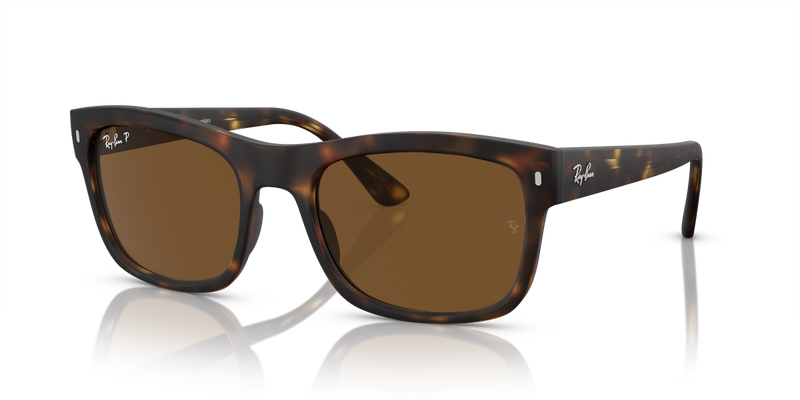 Ray-Ban RB4428 in Havana - Alternate View
