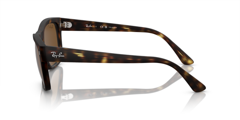 Ray-Ban RB4428 in Havana - Alternate View