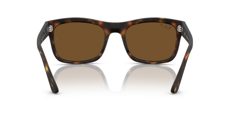 Ray-Ban RB4428 in Havana - Alternate View
