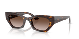 Havana / Gradient Brown (135913)