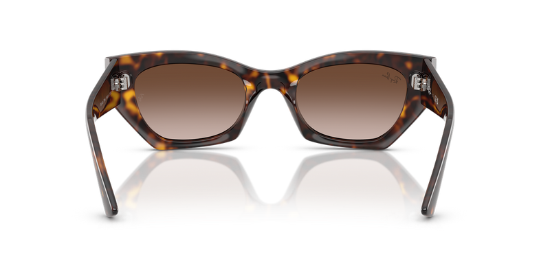 Ray-Ban ZENA in Havana - Alternate View