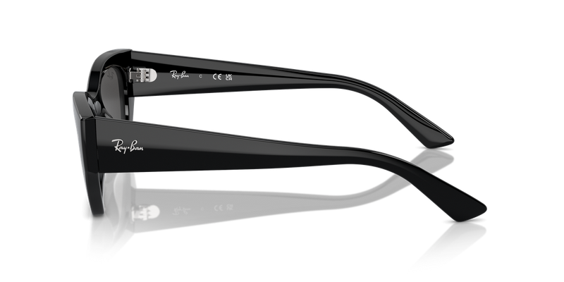 Ray-Ban ZENA in Black - Alternate View