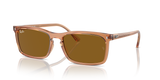 Transparent Brown / Brown (676433)