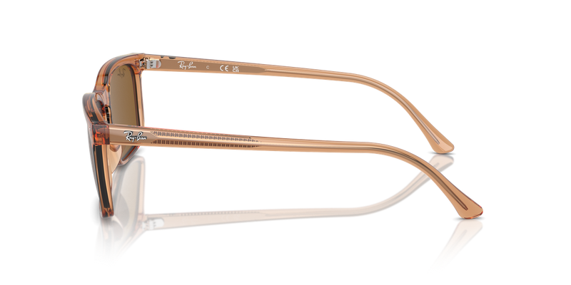 Ray-Ban RB4435 in Transparent Brown - Back View