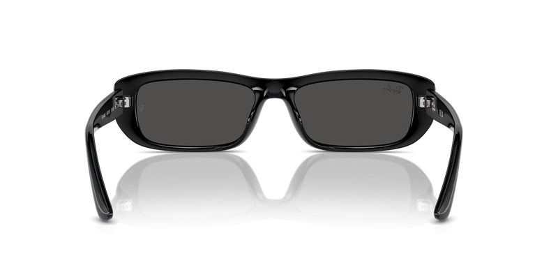 Ray-Ban RB4436D in Black - Temple Detail